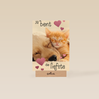 Valentijn Jij bent de liefste hond kat