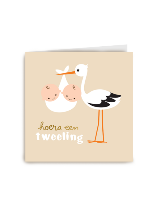 Ooievaar met twee babies hoera een tweeling