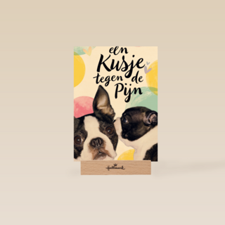 Beterschapskaart Hond Een kusje tegen de pijn