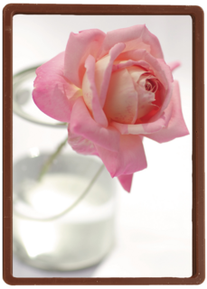 een enkele roos in een glazen vaas