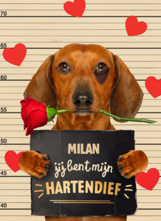 valentijn kaart hond jij bent mijn hartendief