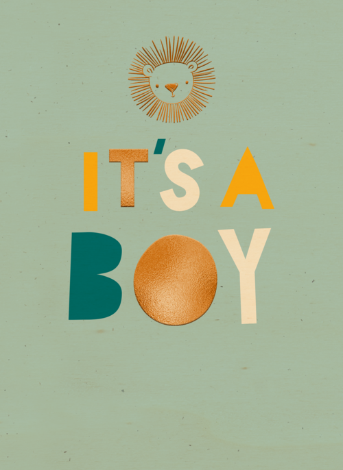 Leeuw it is a boy