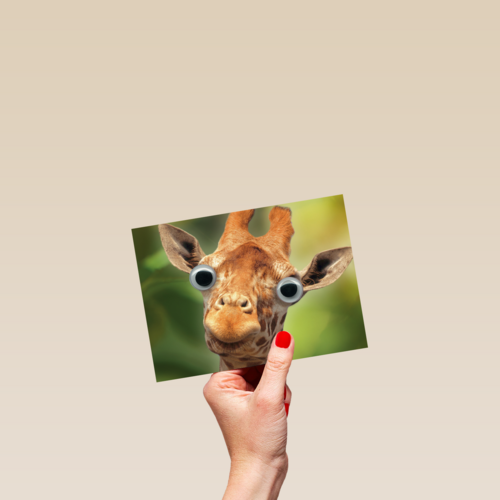 animal fiesta een giraffe met grote ogen