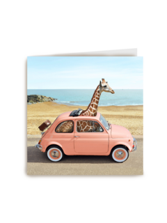 giraf in kleine auto