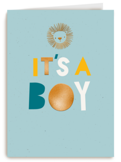 Leeuw it is a boy