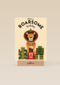 verjaardag kaart folio have a roarsome birthday leeuw
