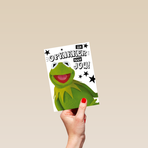 Beterschapskaart Kermit Een opkikker voor jou