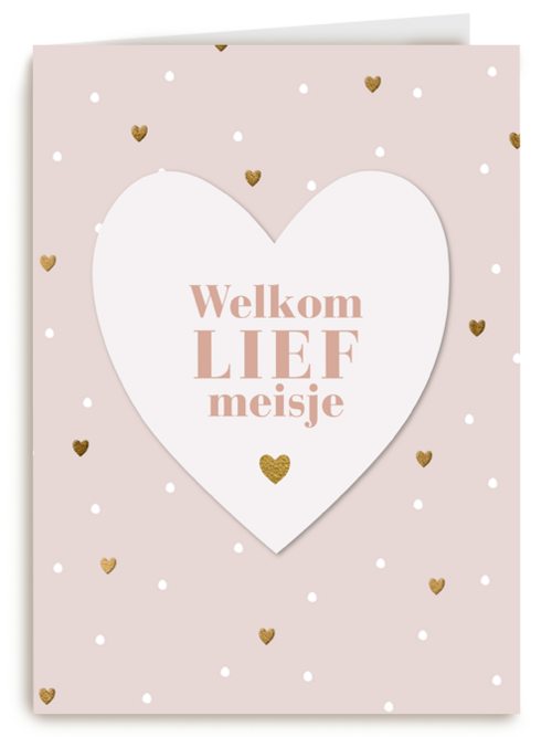 Geboortefelicitatie Welkom lief meisje