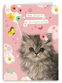 prodo dieren veel plezier op je verjaardag