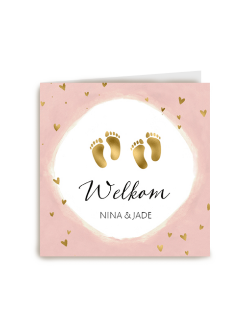 geboorte meerling welkom lieve meisjes