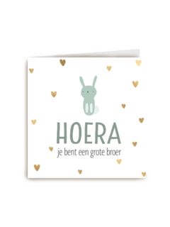 geboorte broer hoera je bent grote broer