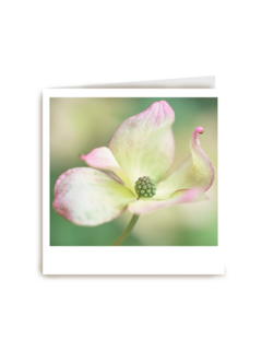 Sterktekaart Blanco met bloem Polaroid