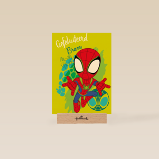 Gefeliciteerd Spidey and Friends