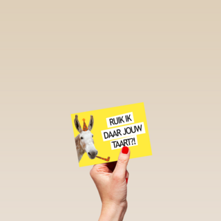 ruik ik daar jouw taart paard met feesthoed