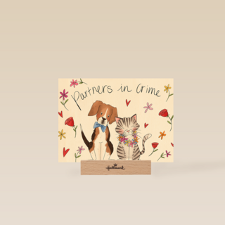 Matia Partners in crime