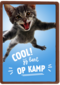 Cool Jij Bent Op Kamp Kat