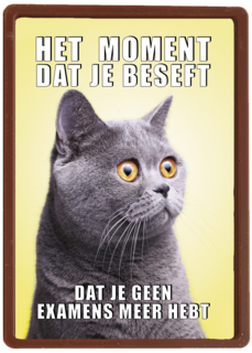 Geslaagd kaart Kat grappig