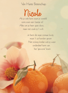 sinaasappels beterschap