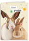 lieve groetjes kaart met konijnen en bloemetjes