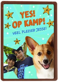 Op kamp corgi