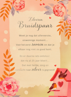 Huwelijksjubileum Zilveren bruidspaar More than Words