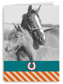 fotokaart voor paarden