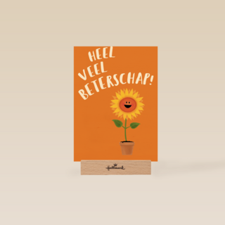 heel veel beterschap zingt de zonnebloem