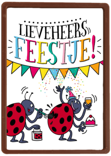 verjaardagskaart lieveheersfeestje