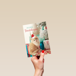 kerstkaart fijne feestdagen feest