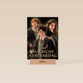 Harry Potter een magische verjaardag