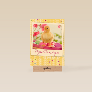 pasen kaart klassiek eendje