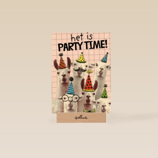 het is weer partytime met deze lamas