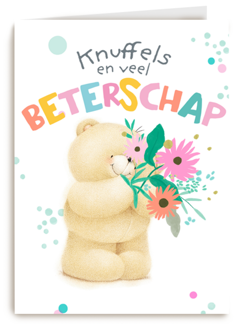 Forever Friends knuffels beterschap