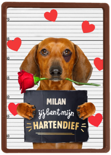 valentijn kaart hond jij bent mijn hartendief