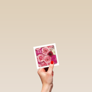 flash bloemen roze