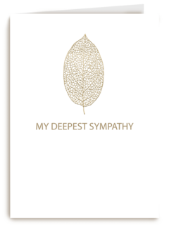My deepest sympathy