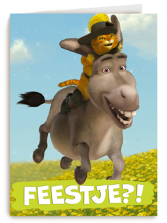shrek feestje met donkey en puss in boots