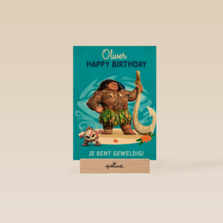 Disney Vaiana Je Bent Geweldig