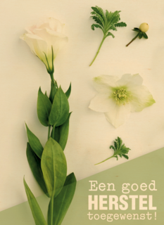 botanical kaart een goed herstel toegewenst