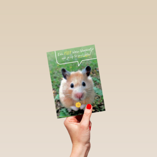 een piepklein bloemetje voor jou