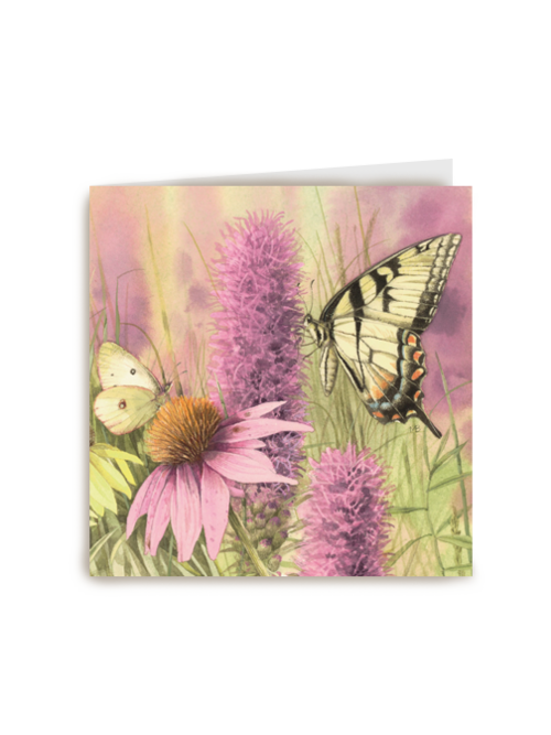 bloemen en vlinders