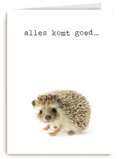 Sterkte kaart Furry Cuddles egeltje