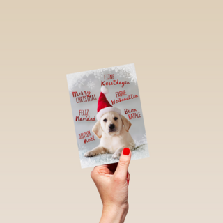 kerstpuppy met muts