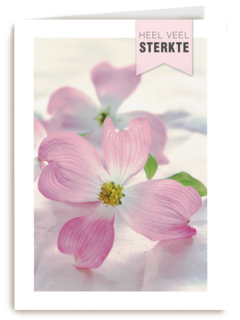 sterkte heel veel sterkte