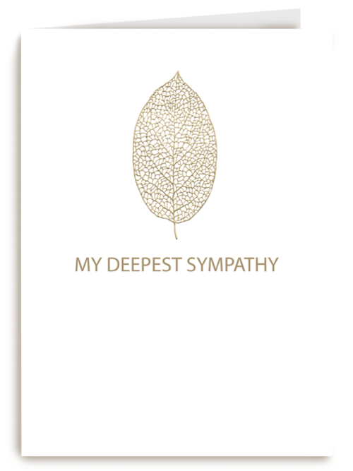 My deepest sympathy