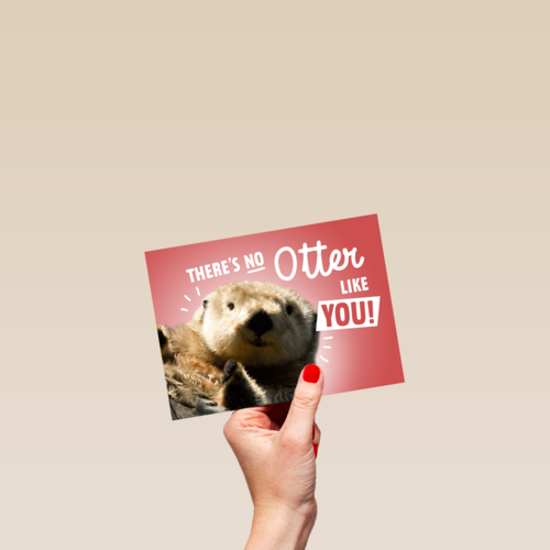 theres no otter like you