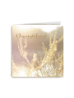 deelneming gecondoleerd licht