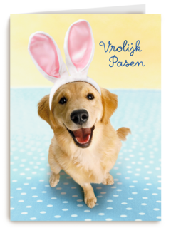 Pasen kaart hond met Paashaas oren