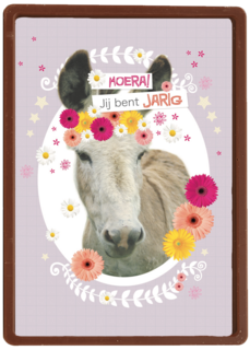 prodo dieren ezel jij bent jarig