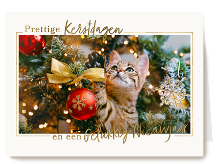 Kat tussen kerstballen